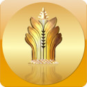新388棋牌app下载 v2.0