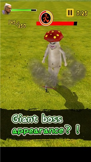 ˫