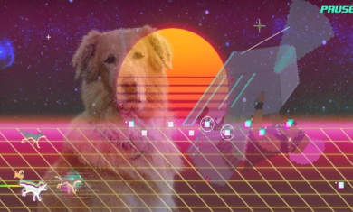 ¥ܿ