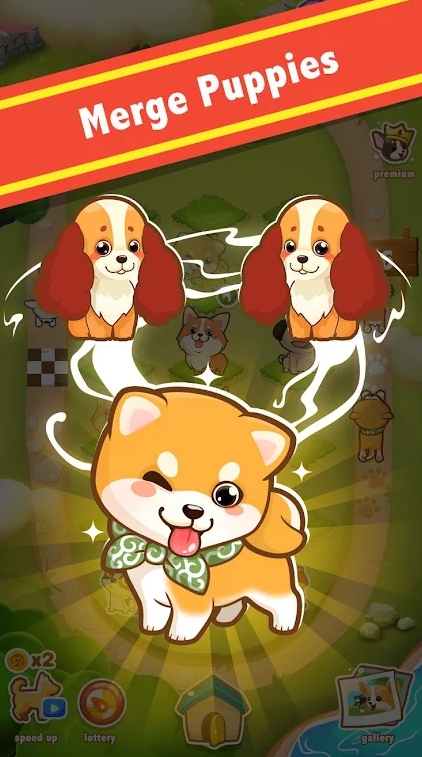 ϲ