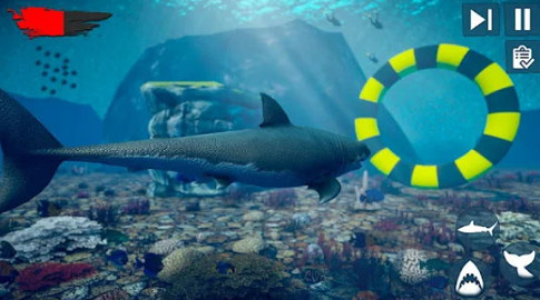 ŭľ(Angry Shark)Ϸ