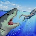 ŭľ(Angry Shark)