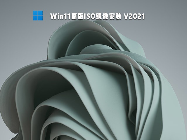 Windows11