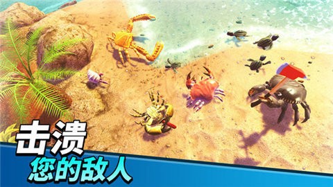 螃蟹之王中文版