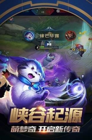 5v5ɽկҫ
