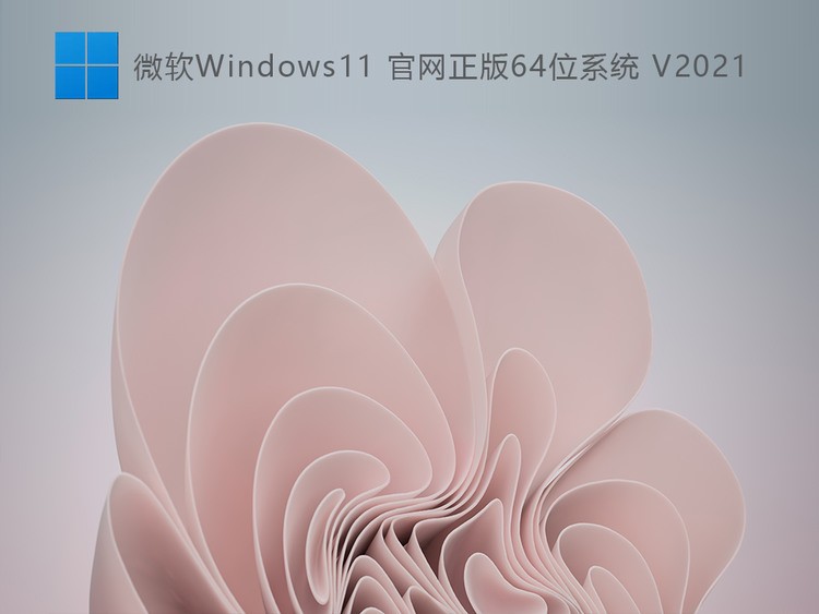 微软Windows11官方正式版64位系统下载