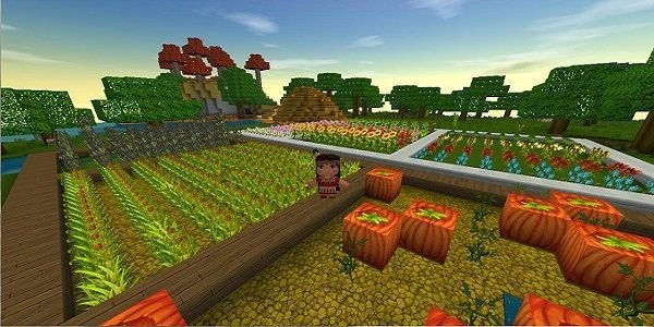ϰ汾