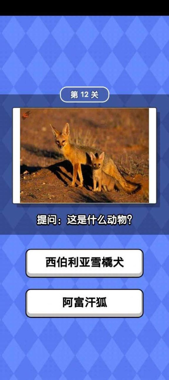 ﻬ°