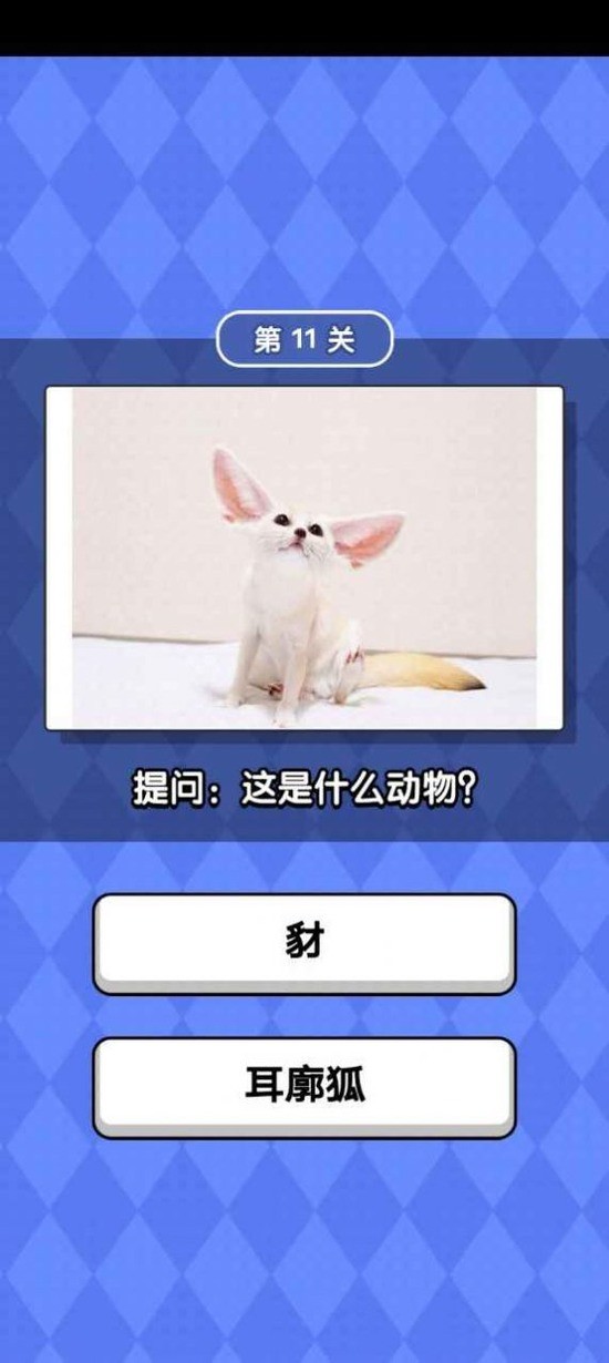 ﻬϷ