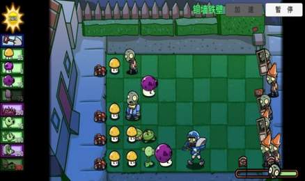 pvz-btС°