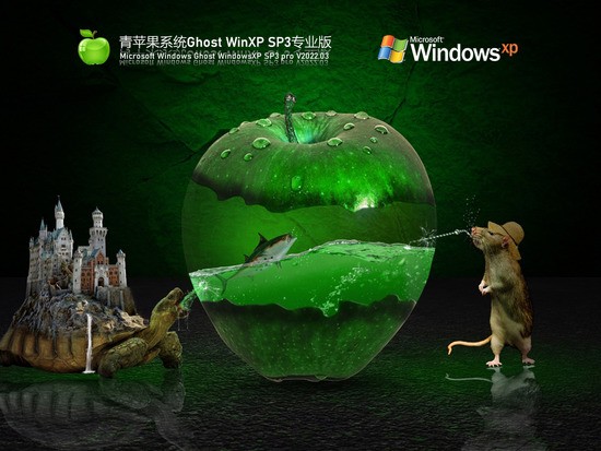 青苹果系统 Ghost WinXP SP3 流畅精简版
