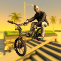 bmxСֳģ