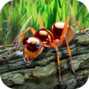 蚂蚁生存模拟器破解版