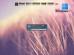 微软Windows11正式版安卓子系统安装包离线下载 v2022