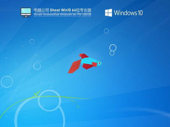 电脑公司Windows10 64位稳定专业版