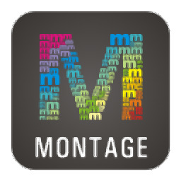 WidsMob Montage v2021