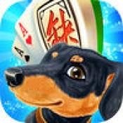哈狗棋牌游戏下载安装 v1.0.3.54