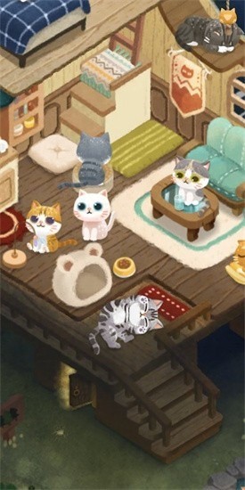 猫咪的秘密森林破解版