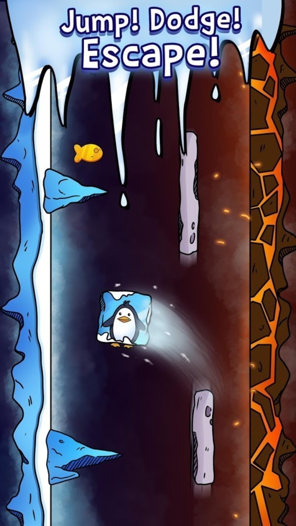  (2)