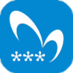 闪灵密保windows版 v2.1.2