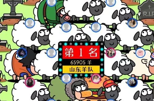 羊了个羊脚本文件 羊了个羊(全自动刷分)真正脚本文件使用分享