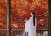 侠女逍遥录主线剧情任务攻略大全 侠女逍遥录主线剧情(第二章)通关玩法详解