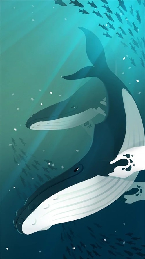 深海水族馆正版2022下载