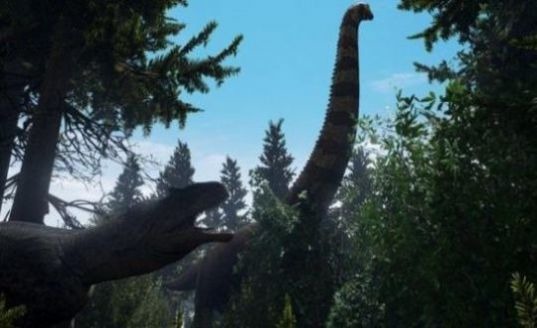 \