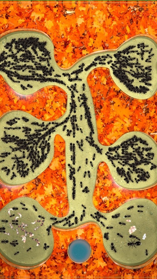 ũϷ