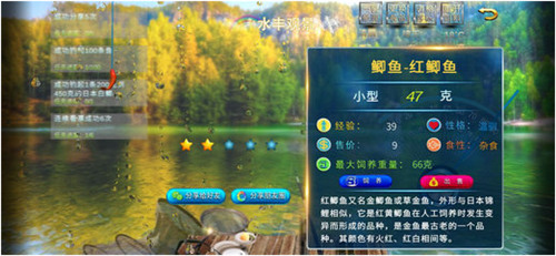 ʦ޽ʯ
