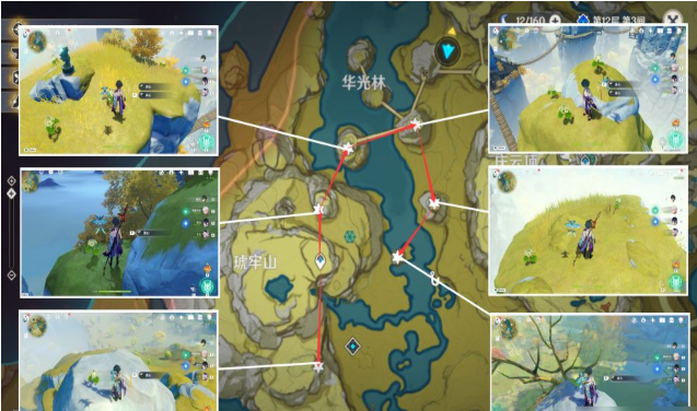原神3.1清心在哪收集-清心快速采集地点路线攻略