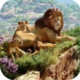 动物园之星下载手机版  v1.3.2