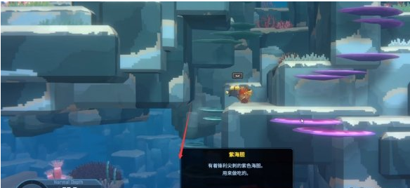 潜水员戴夫条纹海马在哪2