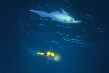 潜水员戴夫环顾冰河区域任务怎么做 潜水员戴夫环顾冰河区域任务攻略