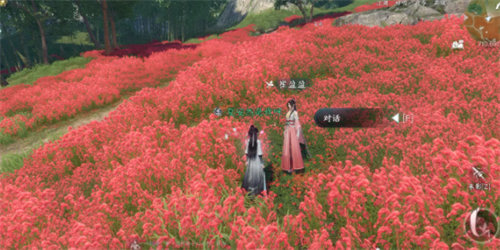 逆水寒逃婚记任务完成攻略8