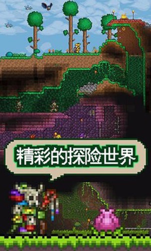 ̩ǹʷ1