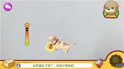 ڴ԰°