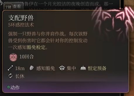 博德之门3纪念戒指在哪里9