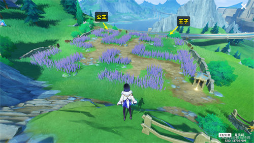 原神在开满鲜花的草地上任务完成攻略4