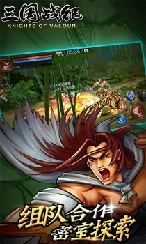 三国战纪风云再起单机版