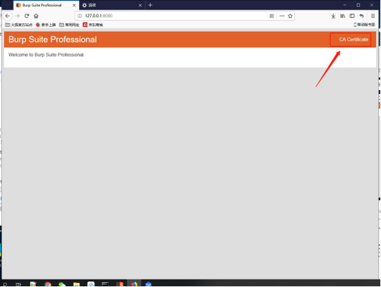 Burpsuite (1)