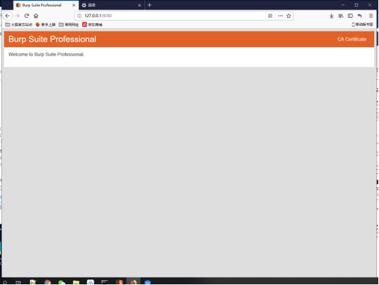 Burpsuite (2)