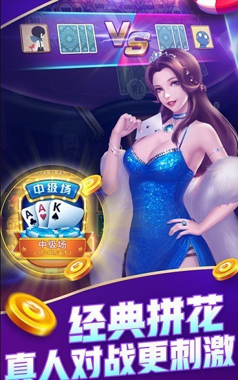 鶷ٷ