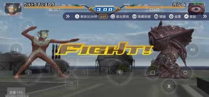  (4)