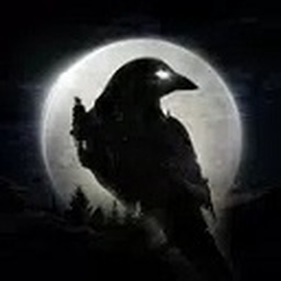 Night Crowsҹѻٷ