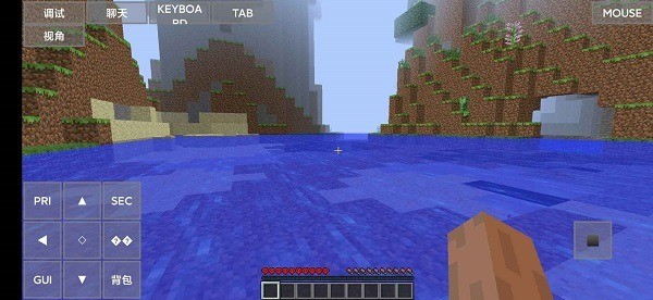 minecraftjavaֻ (2)