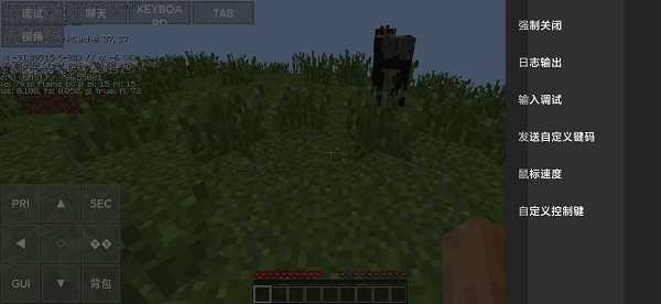 minecraftjava (1)