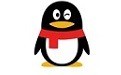 电脑版qq下载 v13.2