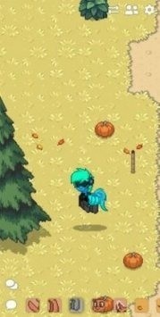 ponytownİ2