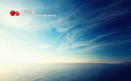 番茄花园win10 2020专业版简体中文64位官方下载 v1.0.1